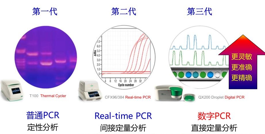 PCR-r.jpg