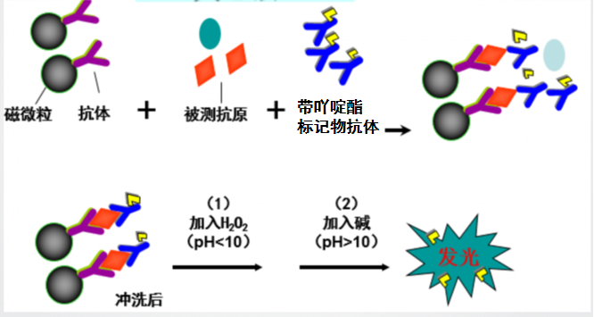 原理图rr.png