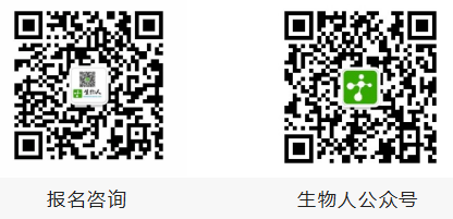 报名.png